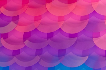 Img2.jpg